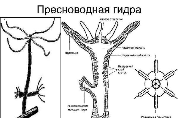 Сайт кракен тор kraken clear com